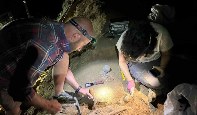 Gürcistan’da 1,8 milyon yıllık bir alt çene kemiği bulundu