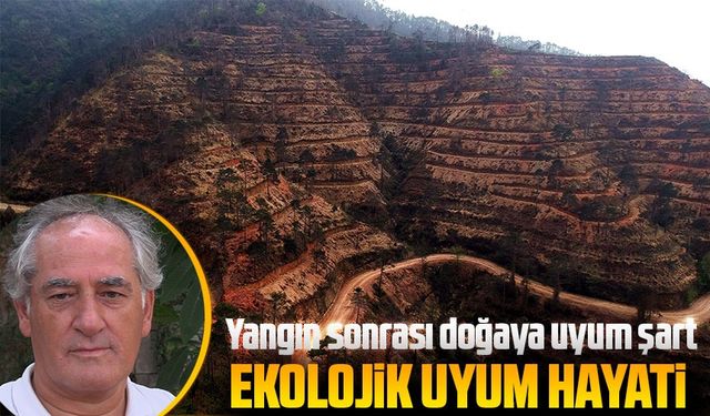 KTÜ’lü Uzmandan Orman Yangınları ve İklim Değişikliği Üzerine Kritik Uyarılar