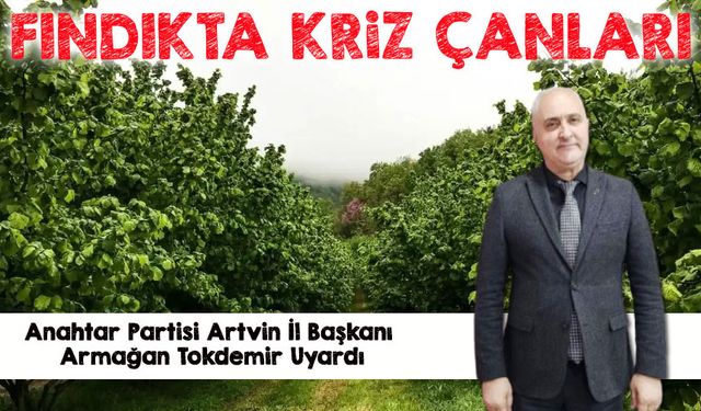 Fındıkta Maliyet 190 TL’yi Aştı: Üretici Alarm Veriyor