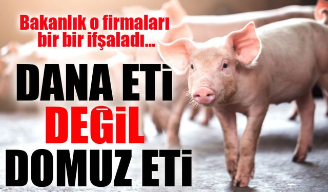 Dana Eti Değil Domuz Eti Yiyormuşuz…;Bakanlık O Firmaları Bir Bir İfşaladı