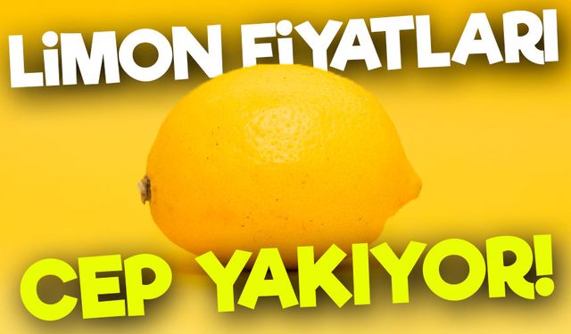 Zirai Don ve Rekolte Kaybı Limon Fiyatlarını Uçurdu