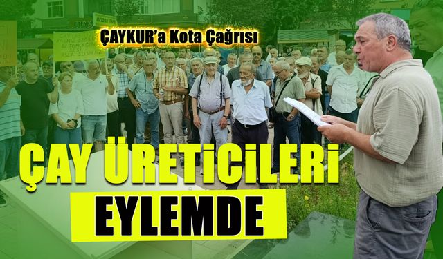 Çay Üreticilerinden ÇAYKUR’a Düşük Kota Tepkisi!