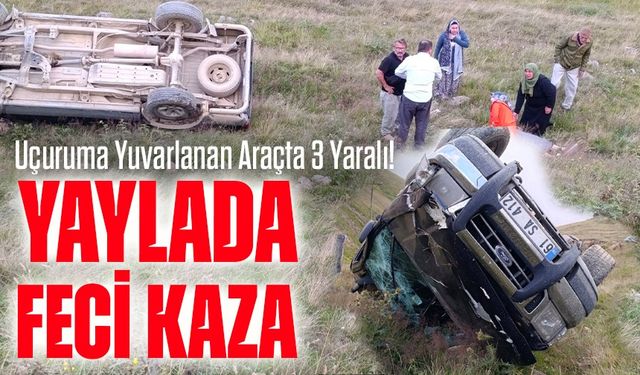 Trabzon'un Taşlı Yaylası'nda Feci Kaza: Uçuruma Yuvarlanan Araçta 3 Yaralı!