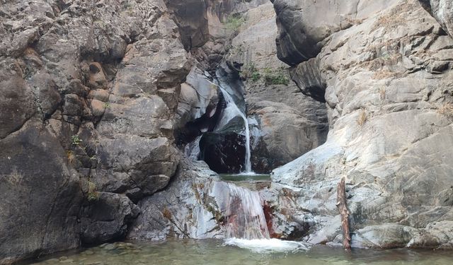 Artvin’de Doğayla İç İçe Serinlik: ‘Ayı Hamamı’ Ziyaretçi Akınına Uğruyor!