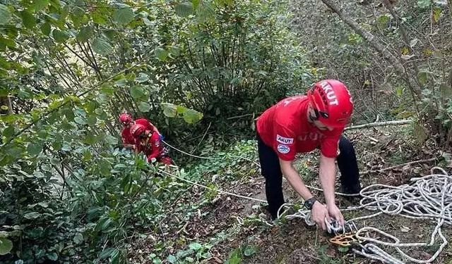 Giresun’da Fındık Toplarken Feci Olay! Anne Hayatını Kaybetti, Oğlu Yaralandı