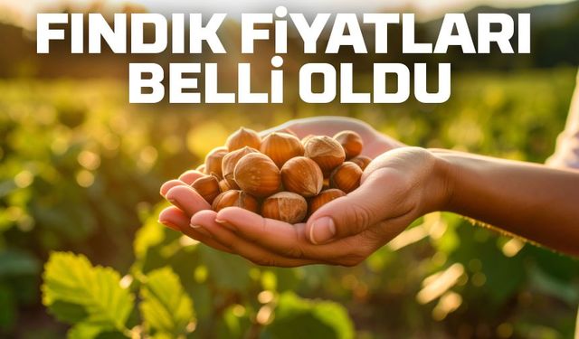 Fındık Üreticisine TMO’dan Rekor Fiyat: Alımlar 25 Ağustos’ta Başlıyor