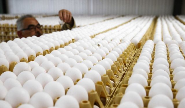 Yumurta Fiyatlarında Yüzde 10 Artış Beklentisi! YUM-BİR’den Tüketicilere Uyarı