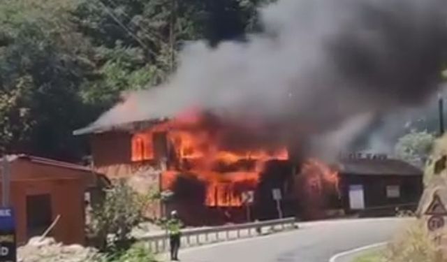 Giresun Kuzalan Tabiat Parkı’nda Yangın: Restoran ve Kafe Küle Döndü
