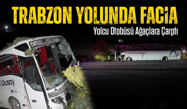 Trabzon Yolunda Facia! Yolcu Otobüsü Ağaçlara Çarptı
