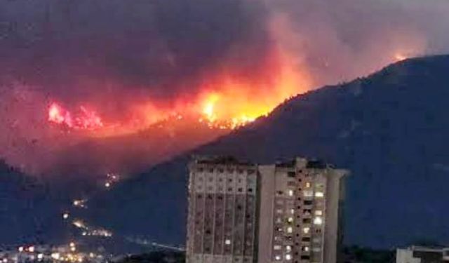 “Artvinliler Ayak Bağı Değildir”: Külekçi’den Aslan’a İstifa Çağrısı