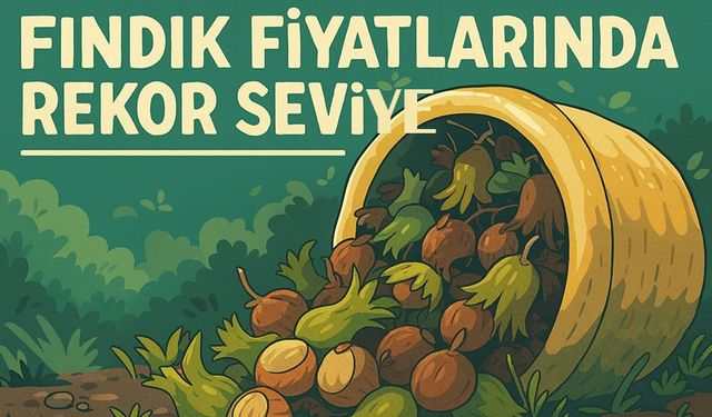 Fındık Fiyatları Güncellendi! Karadeniz’de İl İl Fiyat Tablosu Açıklandı