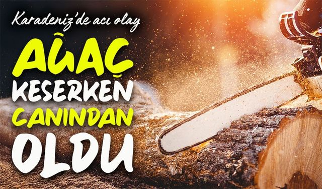 Rize'de kestiği ağaç üzerine devrildi: 51 yaşındaki Hızır Küçük hayatını kaybetti