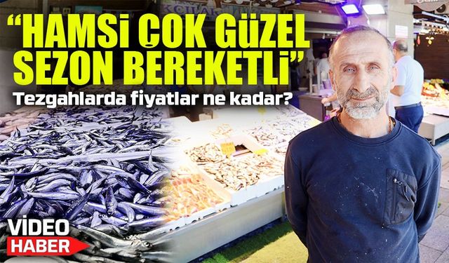 Karadeniz’de Bu Yıl Hamsi Bolluğu: Vatandaş Uygun Fiyatlardan Memnun