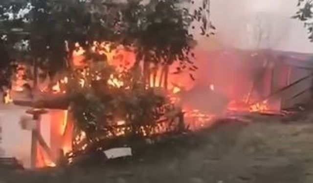 Artvin'de Yangın Paniği! 4 Ev Kül Oldu...