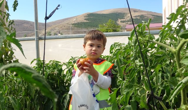 Bayburt’ta özel öğrenciler serada organik sebze hasadı yaptı