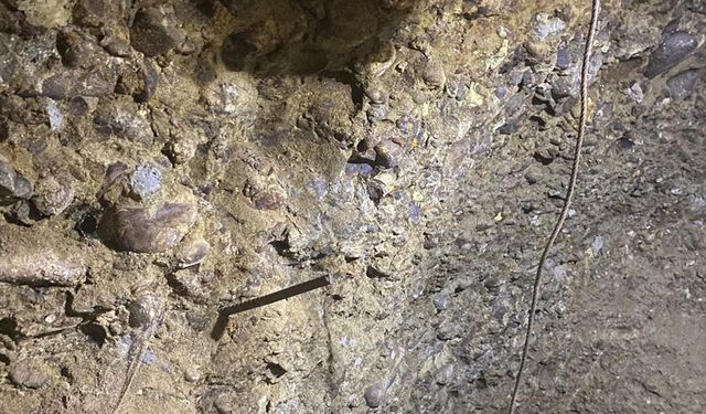Rüyasında gördüğü için tünel kazarak define arayan anne ile oğlu yakalandı