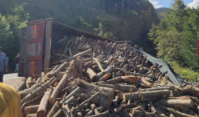 Ordu’da tomruk kamyonu devrildi: 21 ton tomruk yola saçıldı