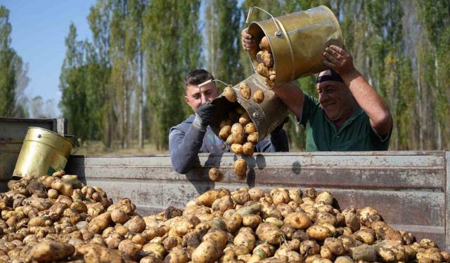 Tarım-GFE yıllık yüzde 34,22 arttı