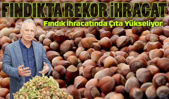 Fındık İhracatında Çıta Yükseliyor: 25 Yılda 42 Milyar Dolar Gelir