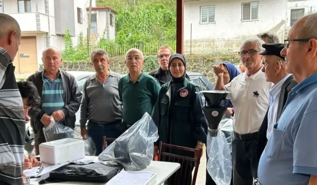 Giresun’da Kahverengi Kokarca ile Mücadele Sürüyor