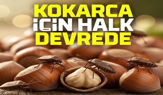 Salıpazarı’nda “Kahverengi Kokarca Topluyoruz” Projesi Başladı