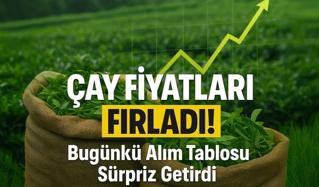 Yaş Çay Fiyatlarında Büyük Uçurum! ÇAYKUR İle Özel Sektör Arasındaki Fark Şaşırttı
