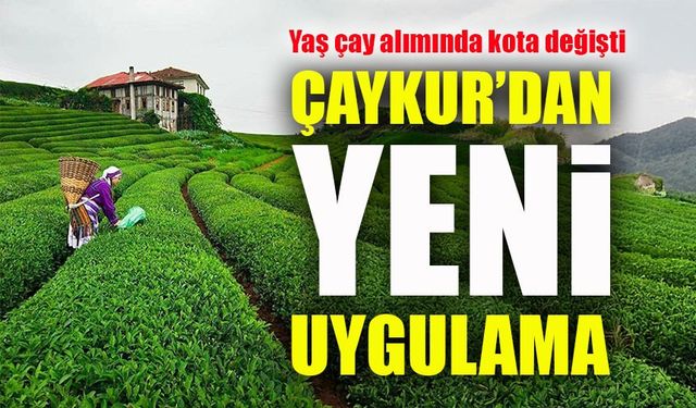ÇAYKUR’dan yeni uygulama: Yaş çay alımında kota değişti