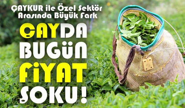 Çayda Bugün Fiyat Şoku! ÇAYKUR İle Özel Sektör Arasında Büyük Fark