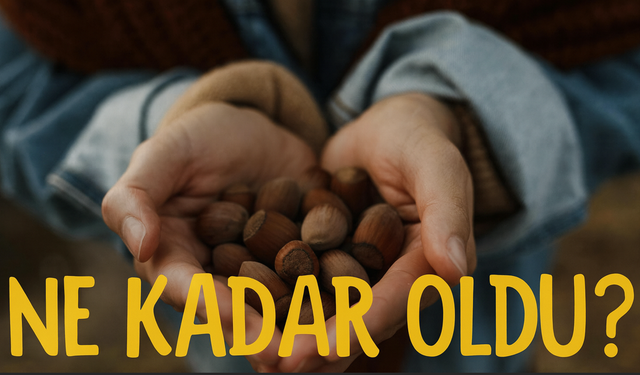 Serbest Piyasanın Nabzı Koptu: Fındık Fiyatları 300 TL’yi Aştı, 350 TL Mümkün Mü?