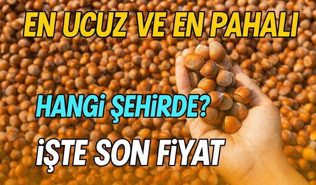 Bugün Güncel Fındık Fiyatları Açıklandı! En Ucuz ve En Pahalı Hangi Şehirde?