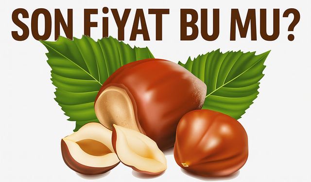 Fındık Fiyatları Bugünde Yükseldi mi? Fındığı En Pahalı Hangi Şehir Hangisi?