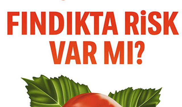 Fındık Fiyatları Güncellendi! Karadeniz’de İl İl Fiyat Tablosu Açıklandı
