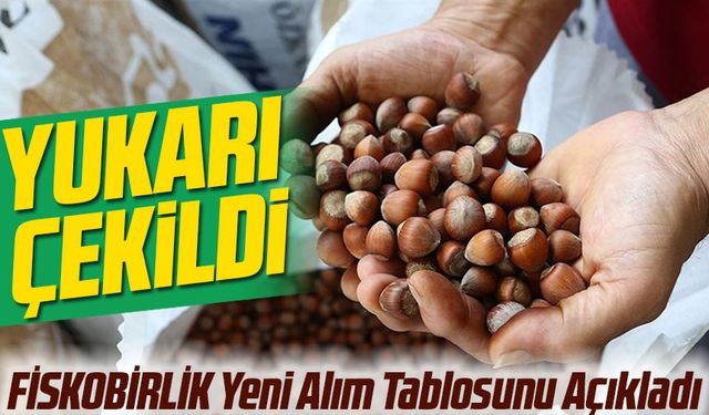 Fındık Fiyatları Güncellendi! FİSKOBİRLİK Yeni Alım Tablosunu Açıkladı