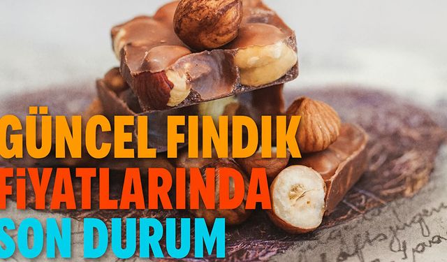 Fındığın Serbest Piyasada İl İl Güncel Fiyat Listesi Açıklandı