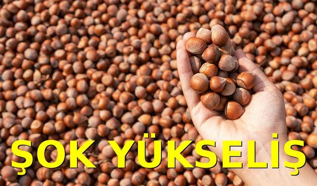 Fındık Fiyatlarında Bugün Şok Yükseliş: Üretici Beklentileri Aşıldı