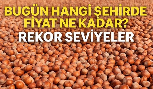 Fındık Fiyatlarında Rekor Seviyeler! Bugün Hangi Şehirde Fiyat Ne Kadar?