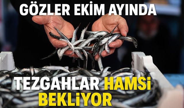 Trabzonlu Balıkçılar Umudunu Hamsiye Bağladı