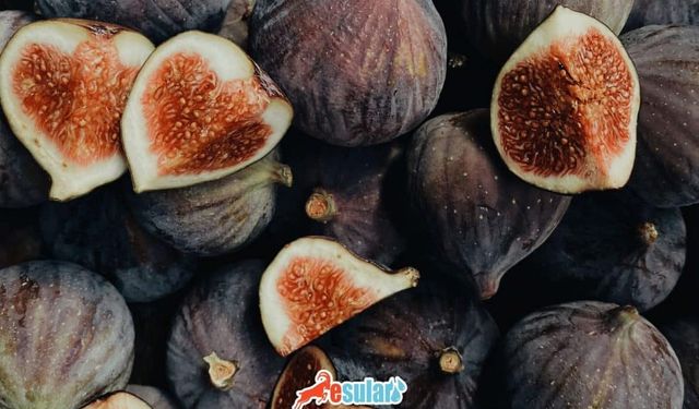Kuru İncirin Faydaları Nelerdir? Tüketimi ve Dikkat Edilmesi Gerekenler
