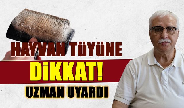 Hayvan Tüyüne Dikkat! Prof. Dr. Özlü Uyardı...