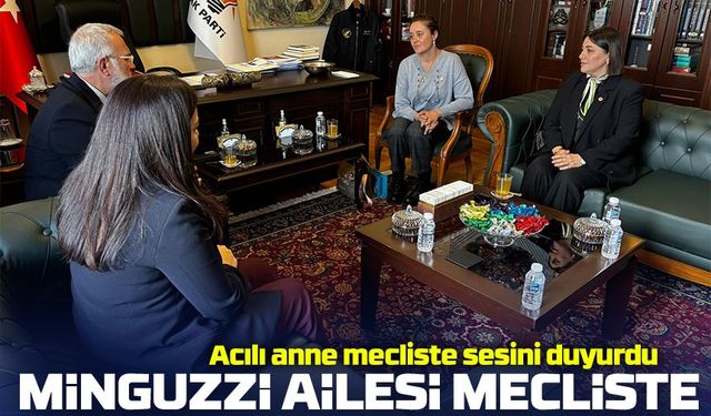 Mattia Ahmet Minguzzi Davası Öncesi TBMM’de Destek Temasları