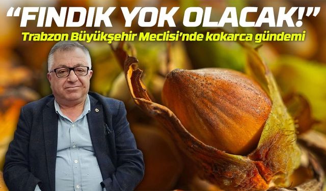 Fındık tehlikede: Kahverengi kokarca için “milli mücadele” çağrısı
