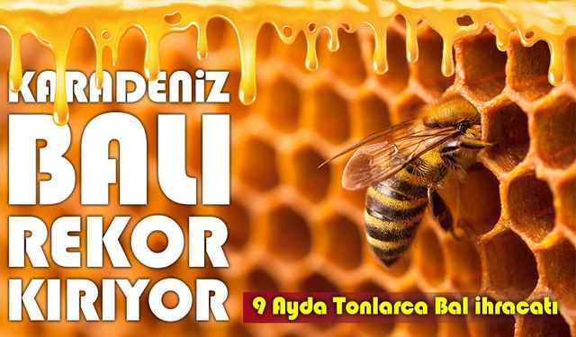 Karadeniz Balı 11 Ülkeye Ulaştı; Doğu Karadeniz’in 9 Aylık Bal İhracatı 1,7 Milyon Doları Aştı