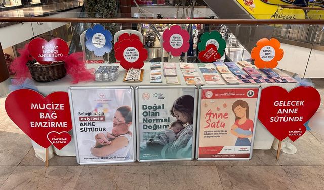 Anne Sütü Sağlıklı mı? İlaç mı Anne Sütü mü?