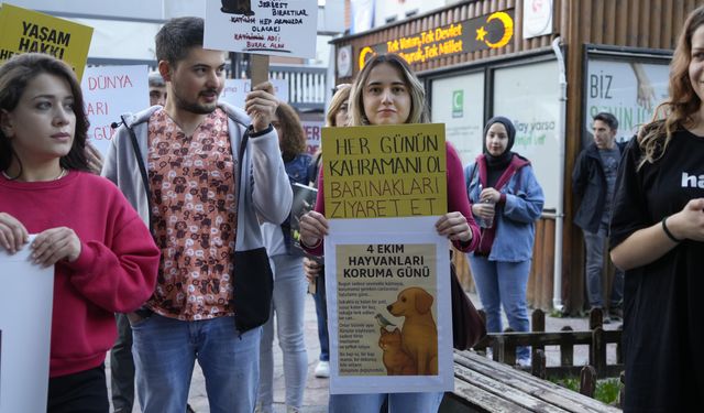 Hayvanseverler Gümüşhane'de Yürüdü: Bu Bir Çağrı...