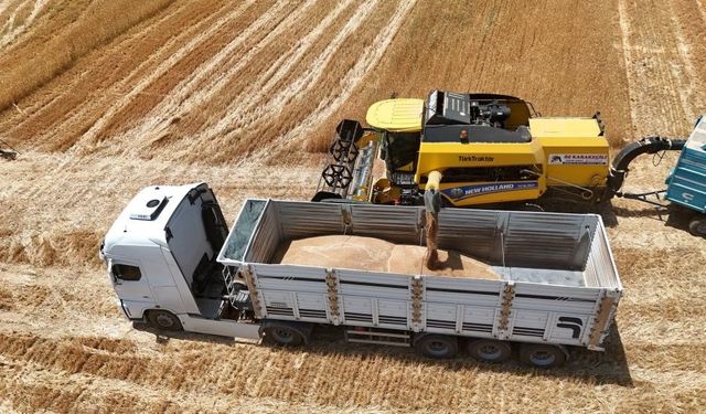 Arpa Kaç TL Oldu? TMO Müdahalesi Yeterli Olacak mı?