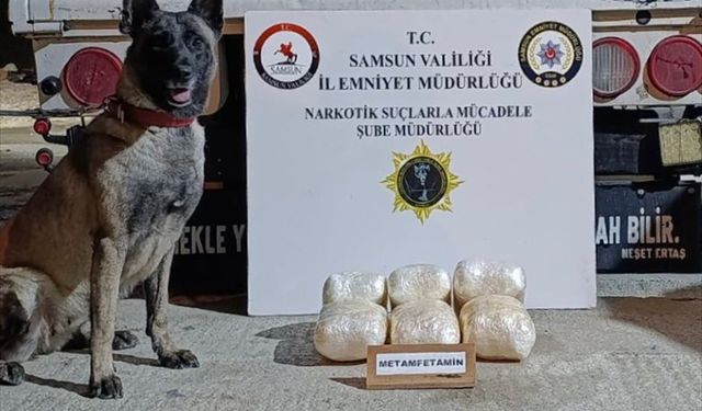 Samsun'da nakliye aracına saklanan uyuşturucuyu 'Şila'nın hassas burnu buldu