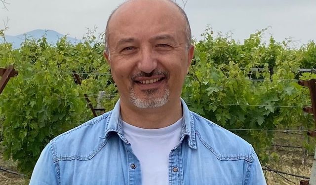 Üzümlerin zirai dona dayanıklılık düzeyleri artık belirlenebilecek