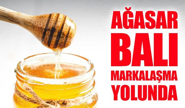 Ağasar Balı Markalaşma Yolunda: 2026’da Coğrafi İşaret Hedefi