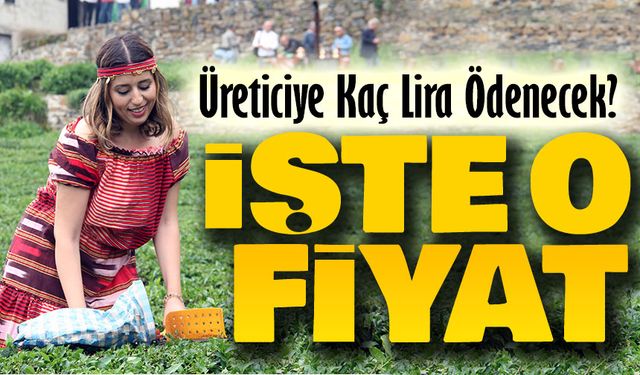 ÇAYKUR Yaş Çay Alım Fiyatı Belli Oldu: Üreticiye Kaç Lira Ödenecek?