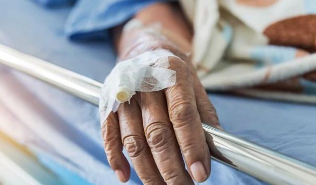 Candida Auris Nedir? Neden Bu Kadar Tehlikeli Hale Geldi?